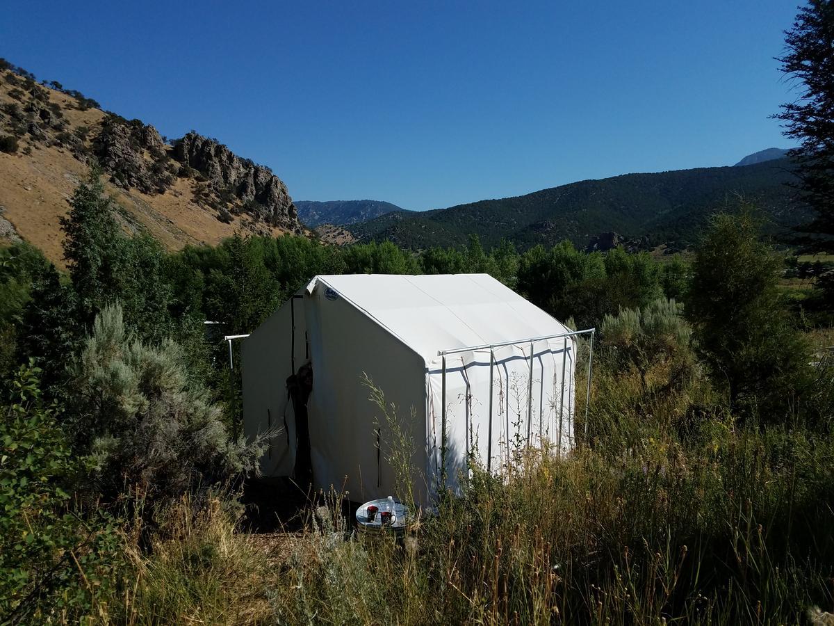Bristol Cabins Lava Hot Springs Εξωτερικό φωτογραφία